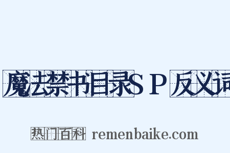 魔法禁书目录SP反义词是什么意思的图片